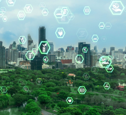Environmental Data We Collect
